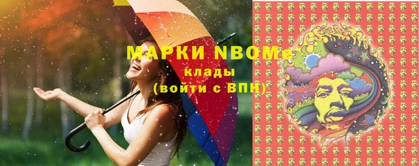 гашиш Богданович