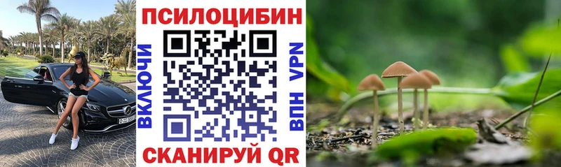 блэк спрут рабочий сайт  закладки  Игра  Галлюциногенные грибы ЛСД 